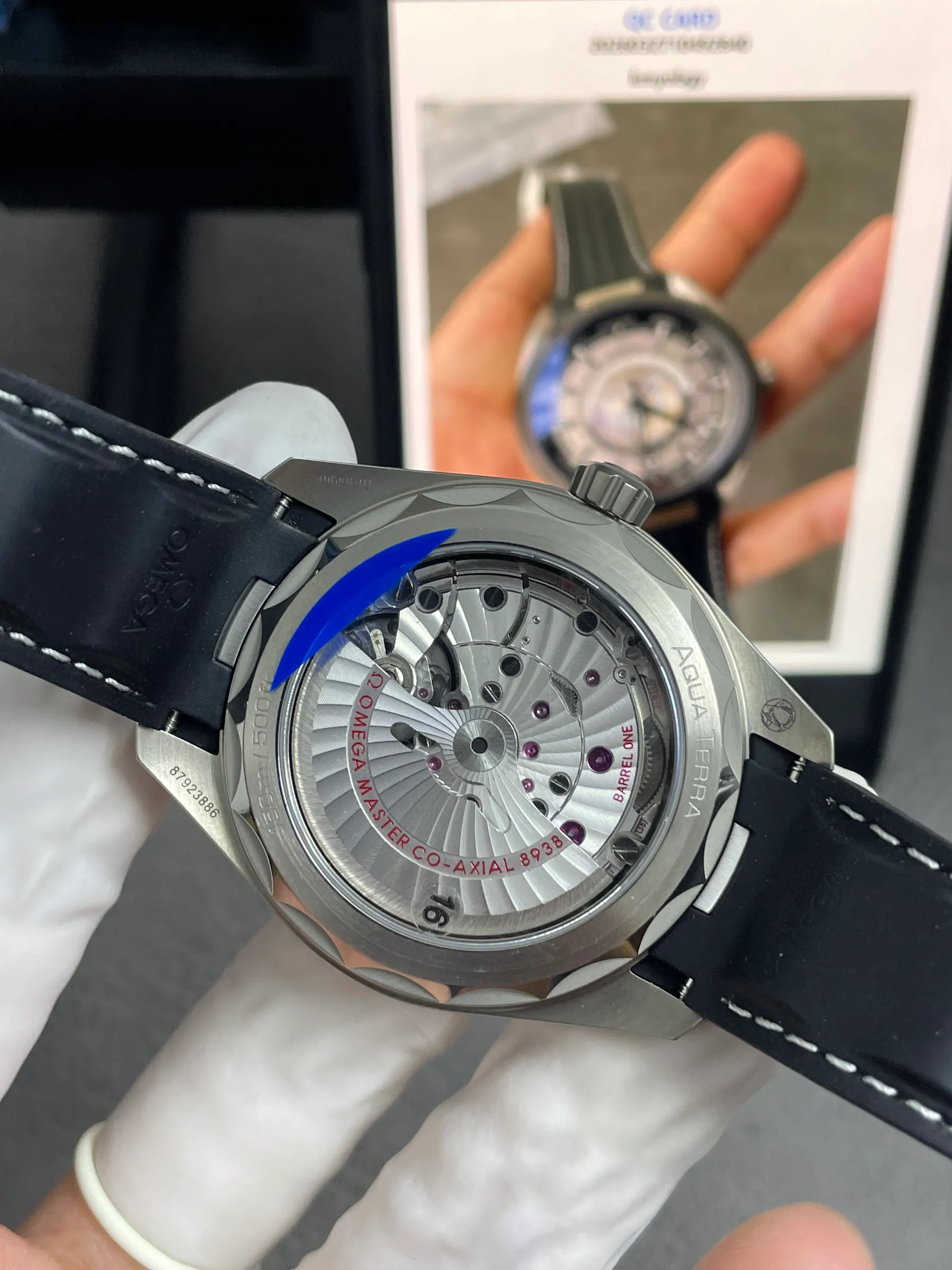 VS l 8938机芯 l 43mm l Aqua Terra 150M