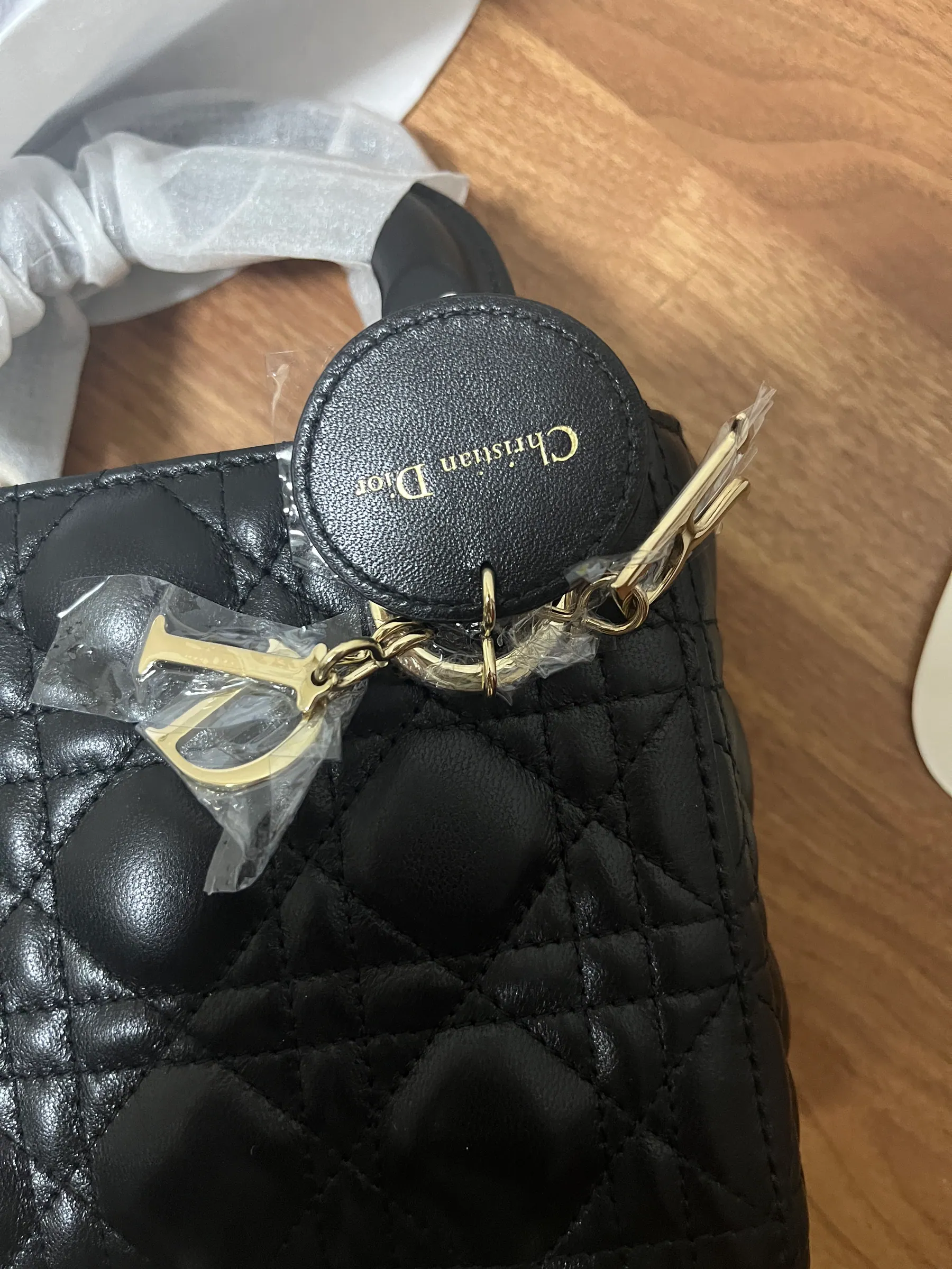 M9 Dior Lady 迷你羊皮 M0505ONGE 17 x 15 x 7 cm