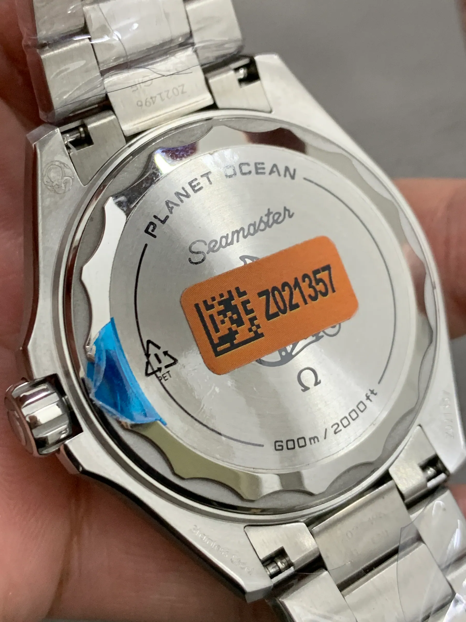 VS+｜42毫米｜Planet Ocean 600M 217.32.42.21.01.003