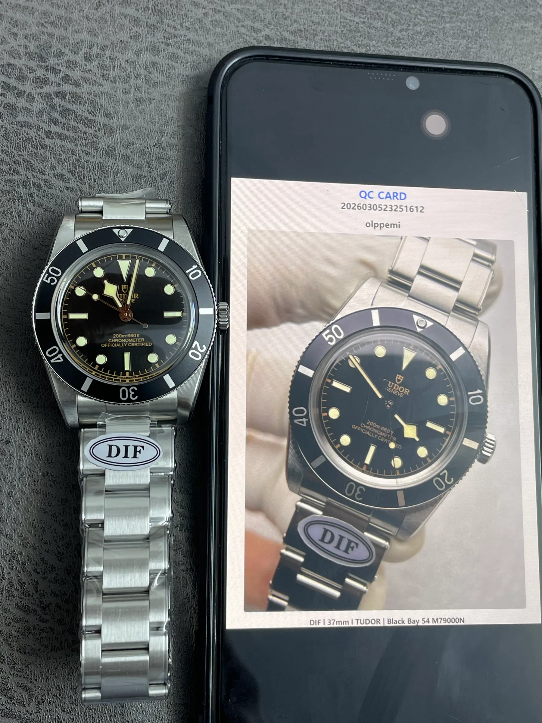 DIF l 37毫米 l TUDOR | Black Bay 54 M79000N