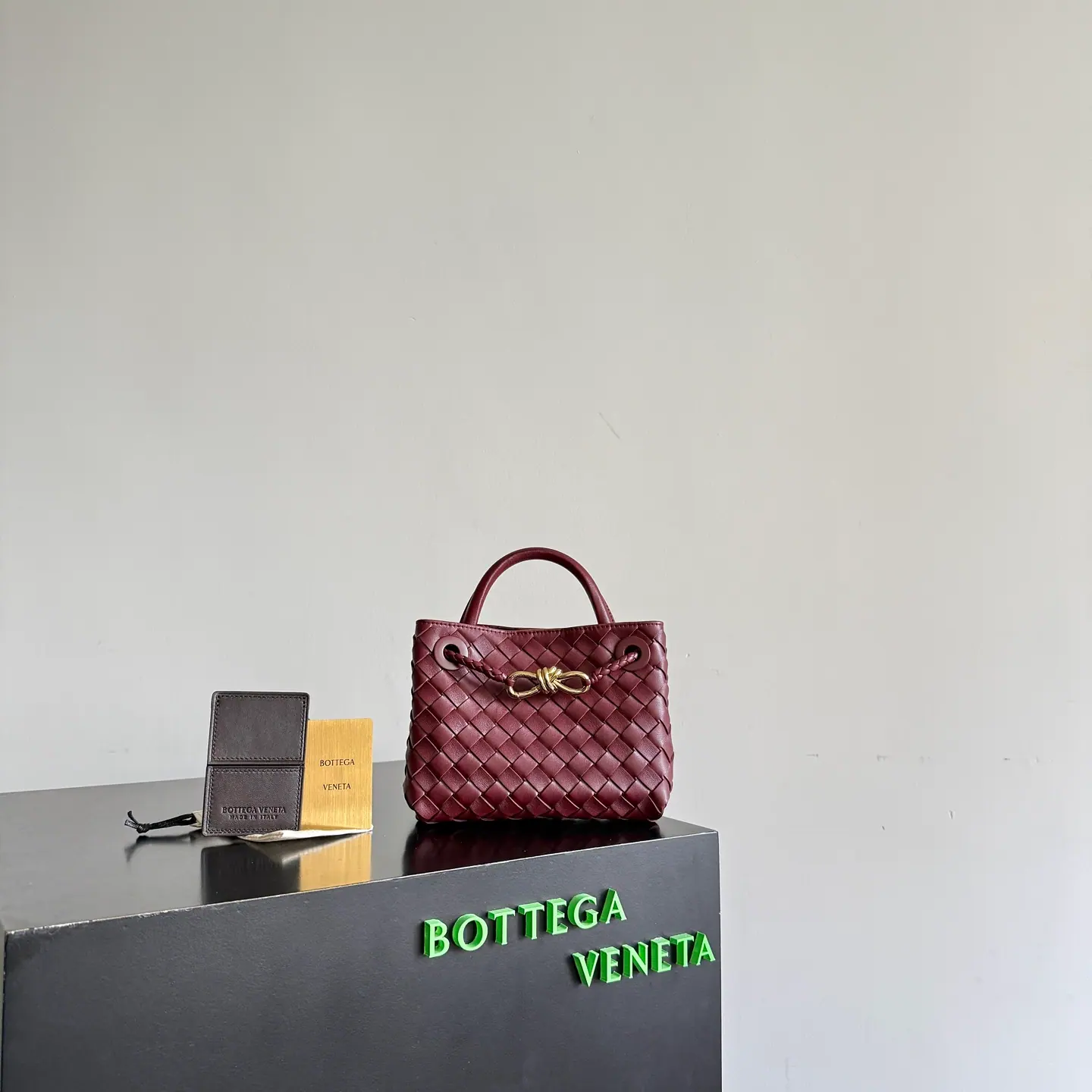 Bottega Veneta 迷你 Andiamo 874957 20*15*9cm