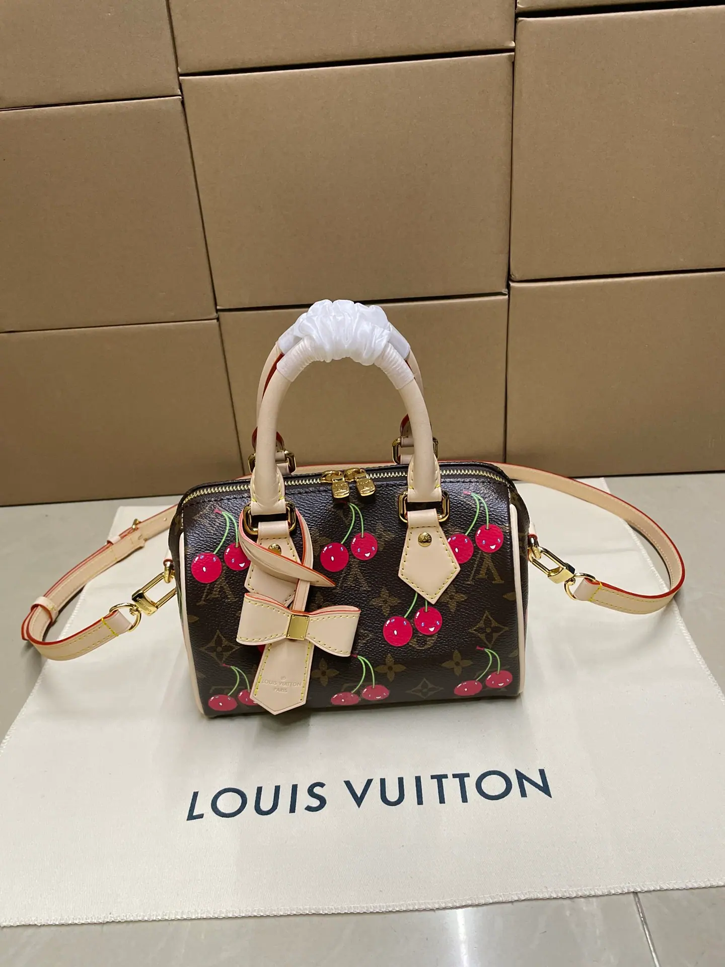 路易威登 LV x TM Speedy Bandoulière 20 M13094 13.5 x 12 x 20.5cm