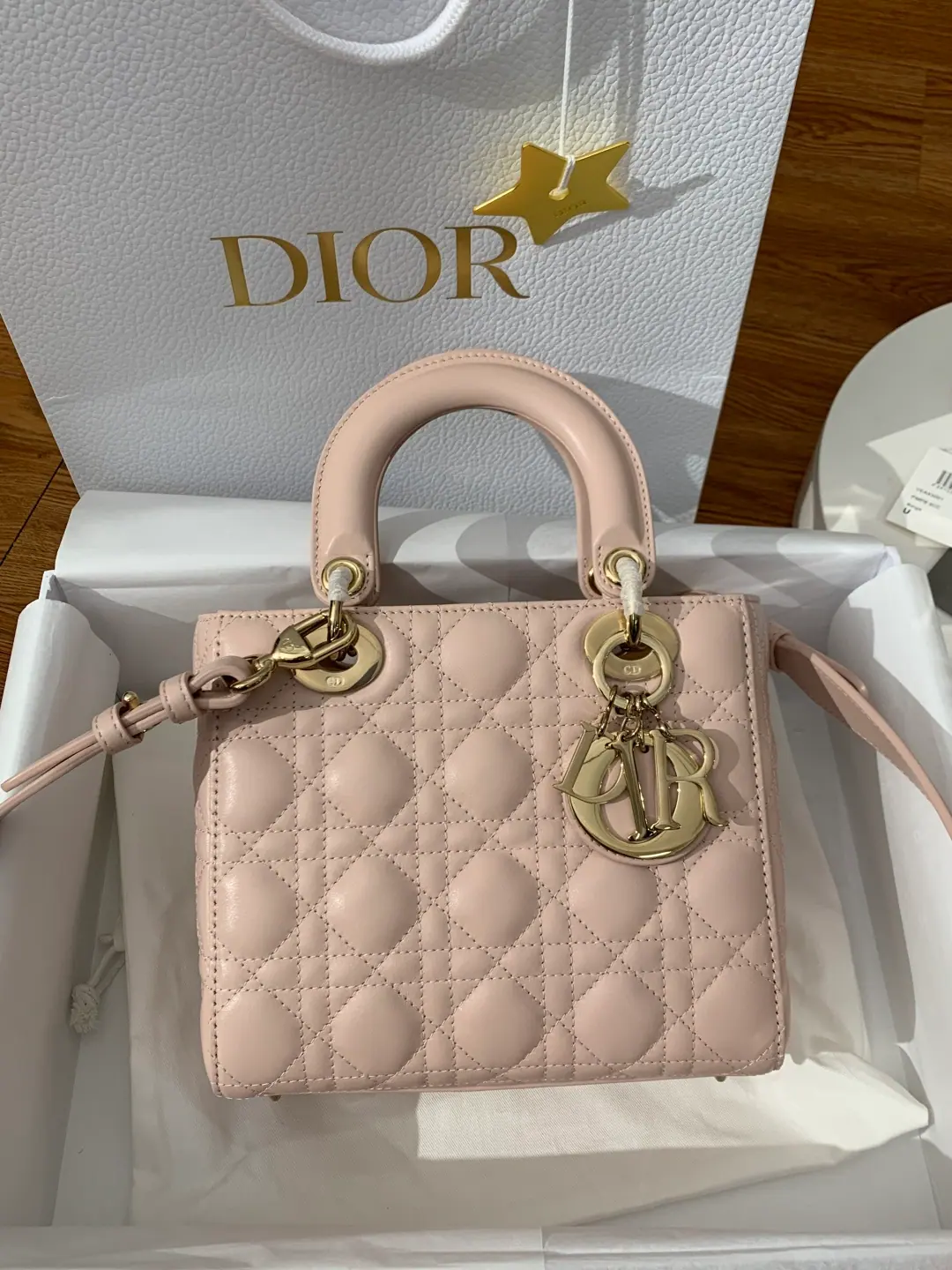 M9 Dior 小号 Lady Dior My ABCDior 包 20 x 17 x 8cm