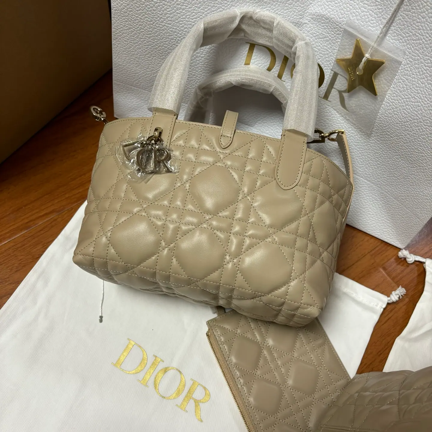 M9 Dior Toujours 小号包 M2822OSNW_M51U 23 x 15.5 x 12cm