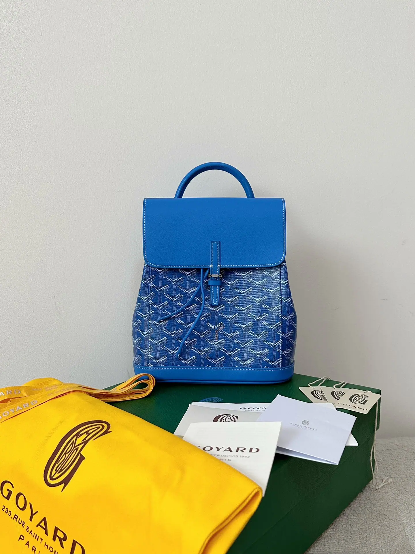 GOYARD Alpin 迷你背包 23×19×9.5厘米