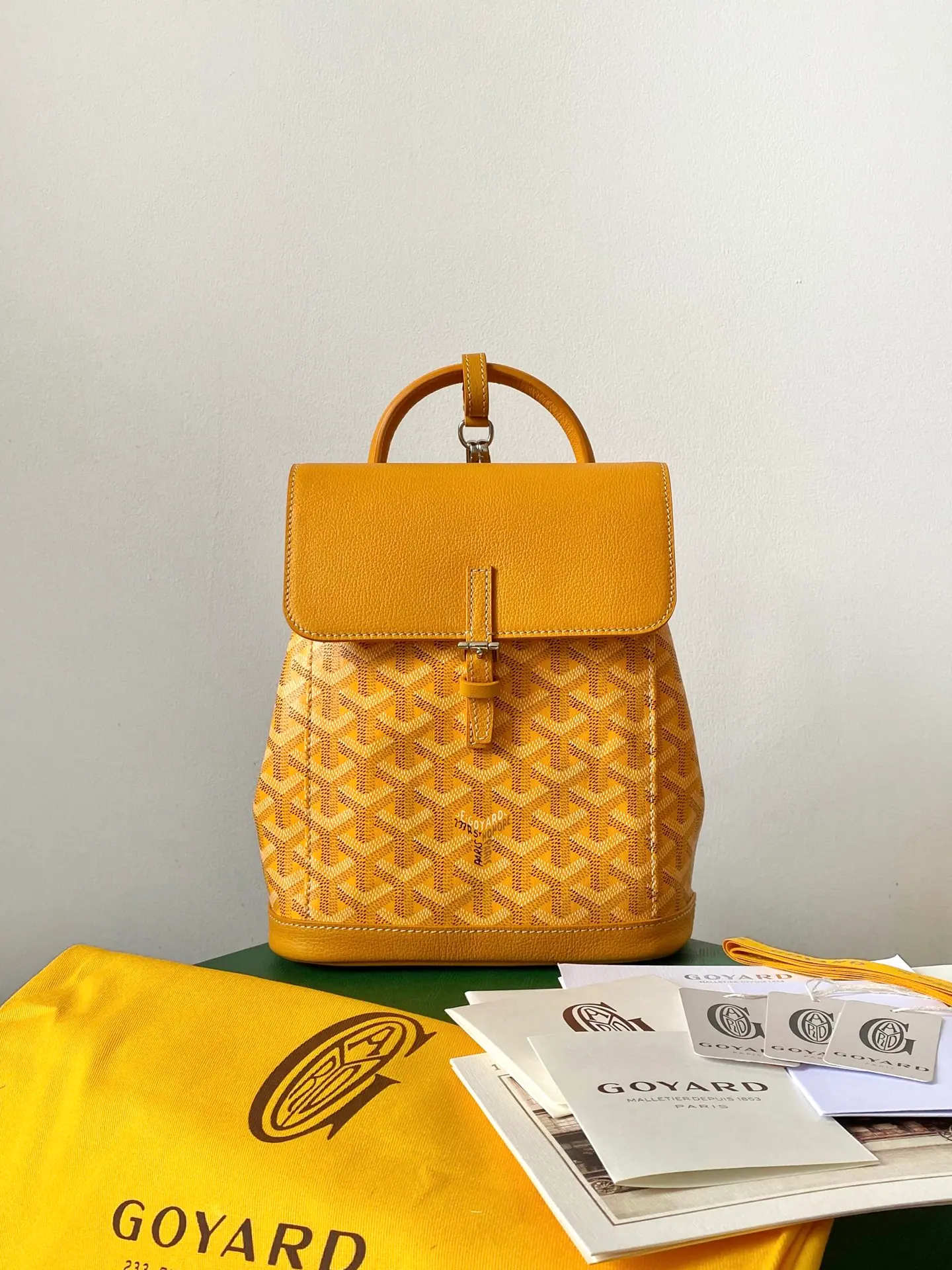 GOYARD Alpin 迷你背包 23×19×9.5cm
