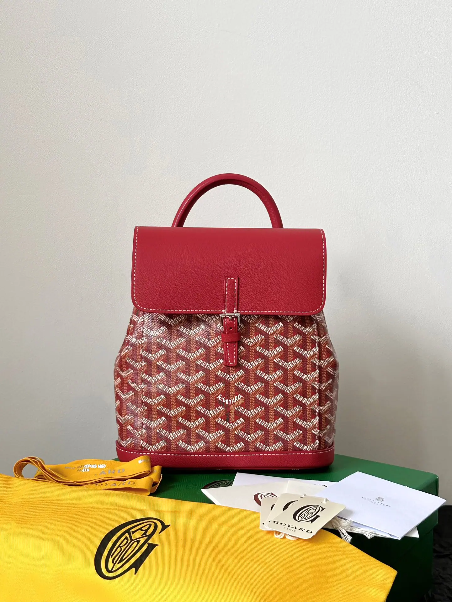 GOYARD Alpin 迷你双肩包 23×19×9.5cm