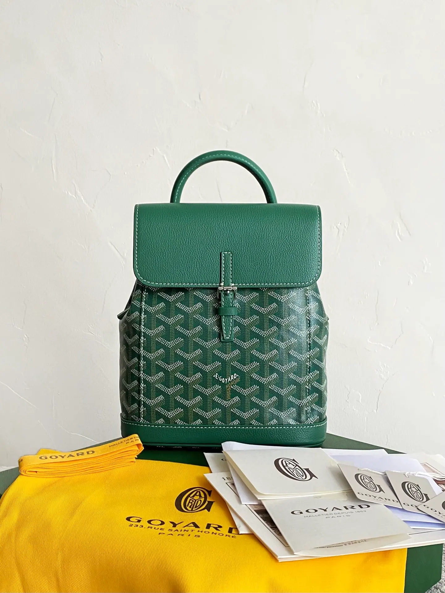 GOYARD Alpin 迷你背包 23×19×9.5cm