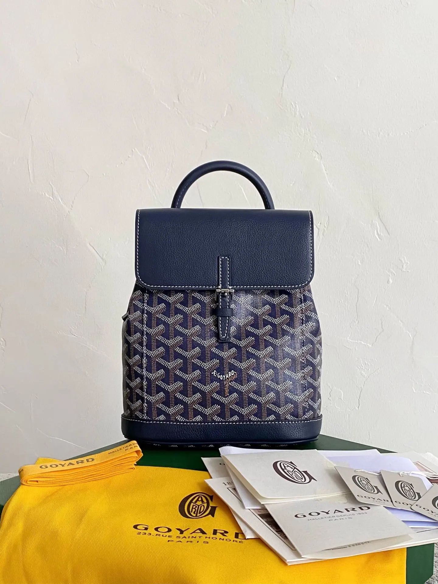 GOYARD Alpin 迷你双肩包 23×19×9.5cm