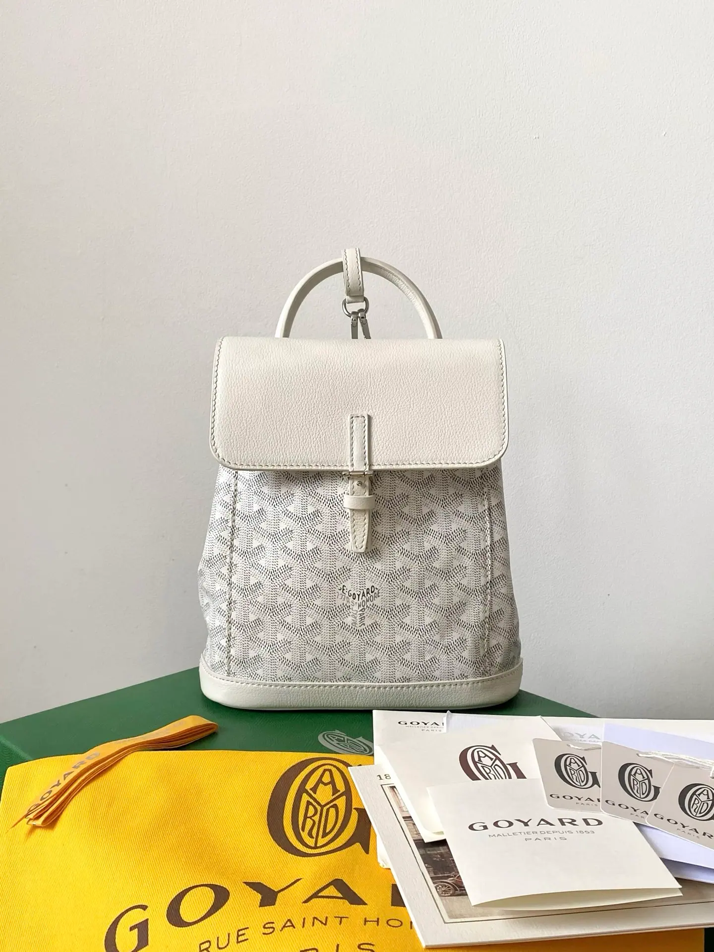 GOYARD Alpin 迷你背包 23×19×9.5cm