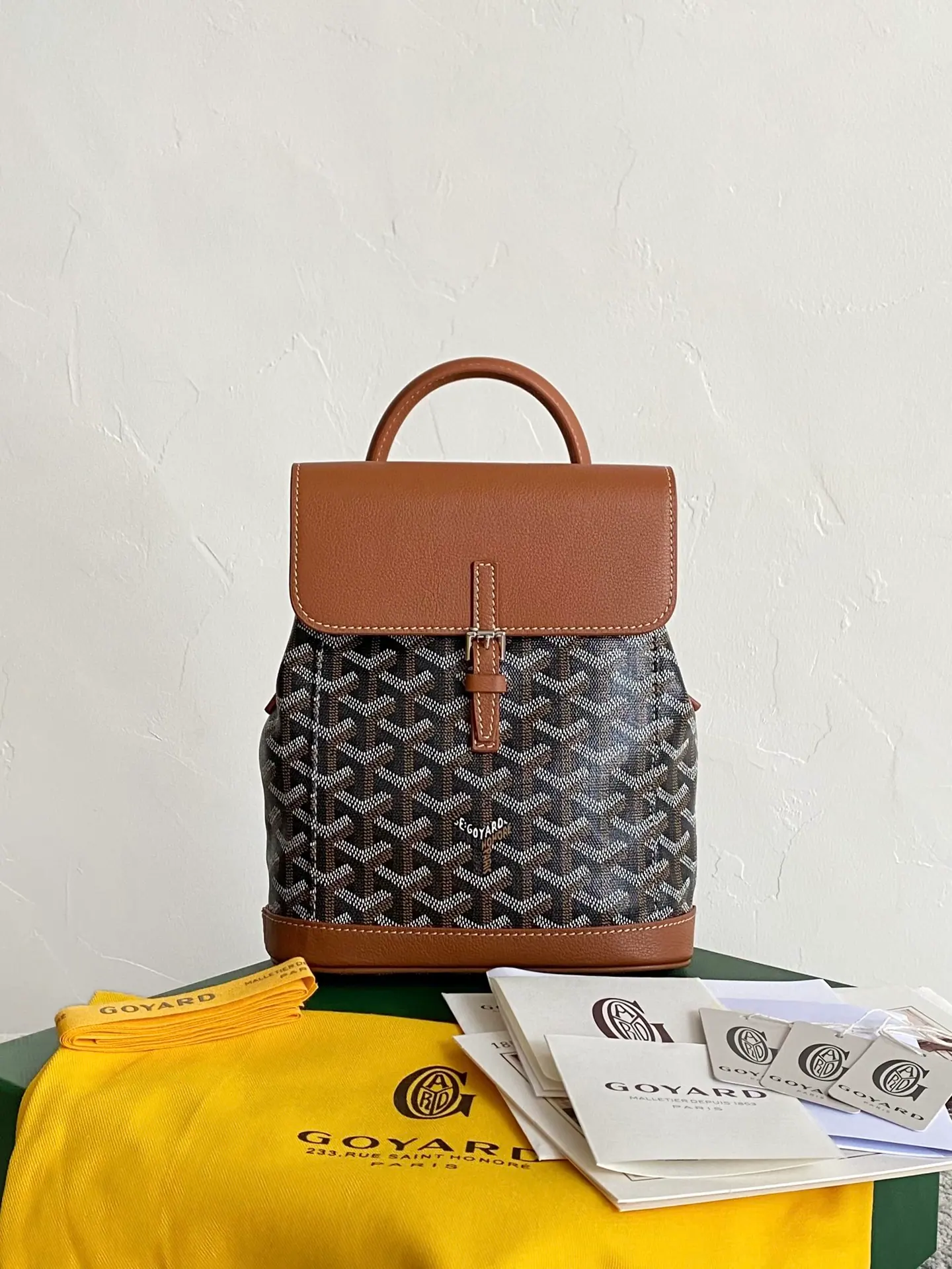 GOYARD Alpin 迷你背包 23×19×9.5cm