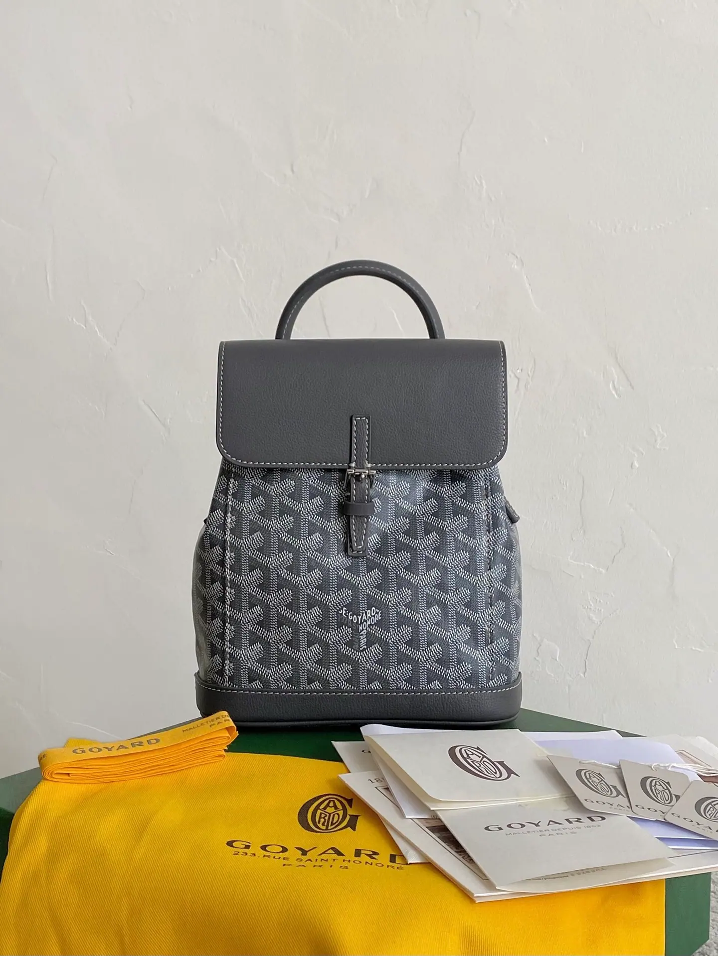 GOYARD Alpin 迷你双肩包 23×19×9.5cm