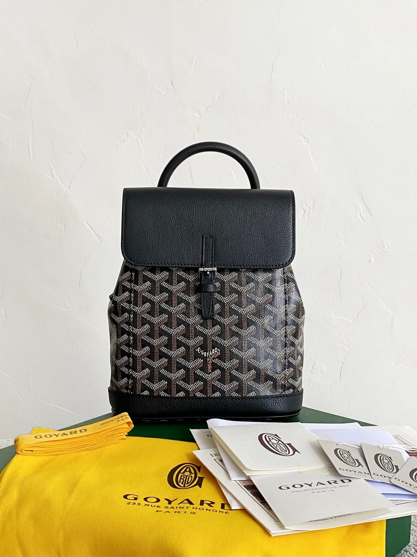 GOYARD Alpin 迷你背包 23×19×9.5cm