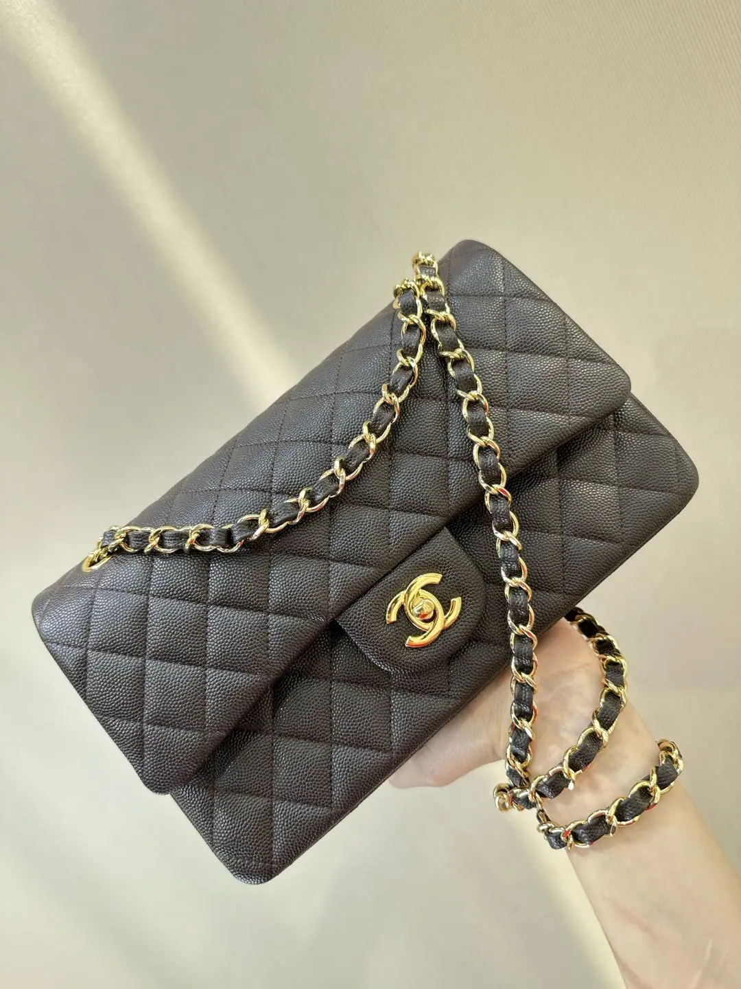 ƆC  经典鱼子酱翻盖包 中号 25cm 112