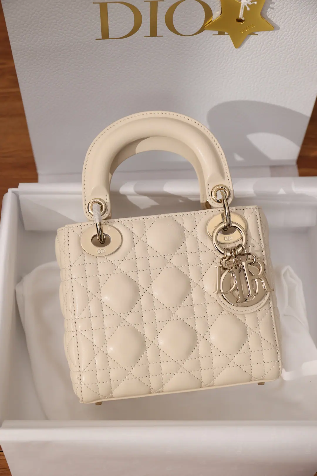 迪奥 Lady Mini 小羊皮 M0505ONGE 17 x 15 x 7 cm