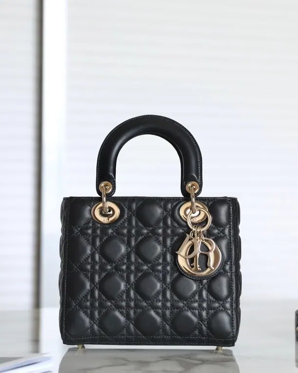 迪奥 Lady Dior MY ABCDIOR 20 x 16.5 x 8 cm