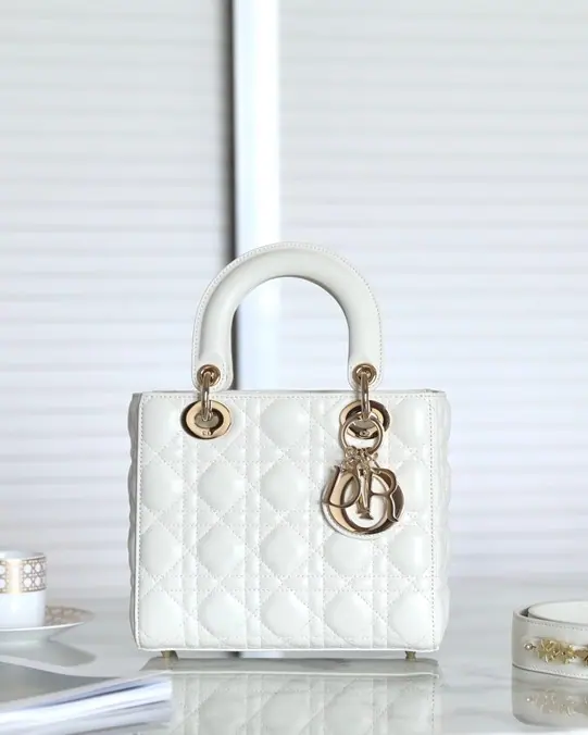 迪奥 Lady Dior MY ABCDIOR 20 x 16.5 x 8 cm