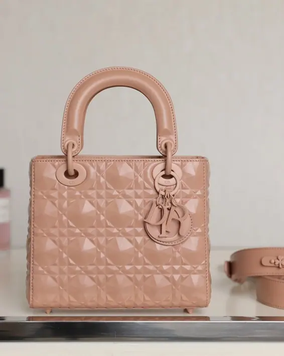 迪奥 Lady Dior MY ABCDIOR 20 x 16.5 x 8 cm