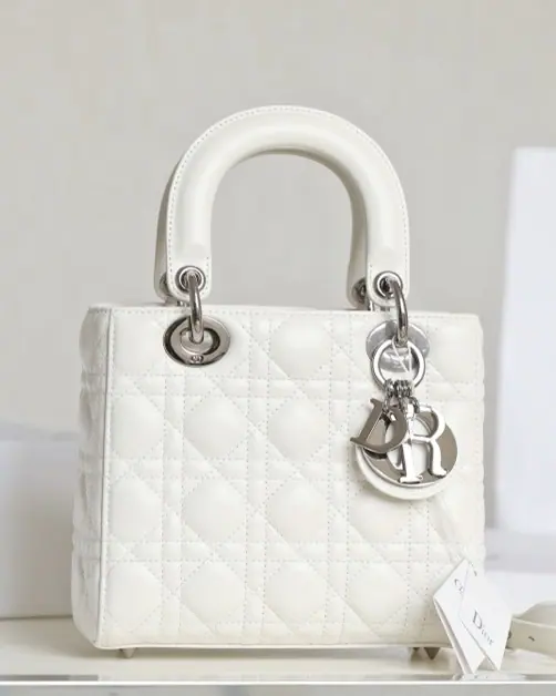 迪奥 Lady Dior MY ABCDIOR 20 x 16.5 x 8 cm