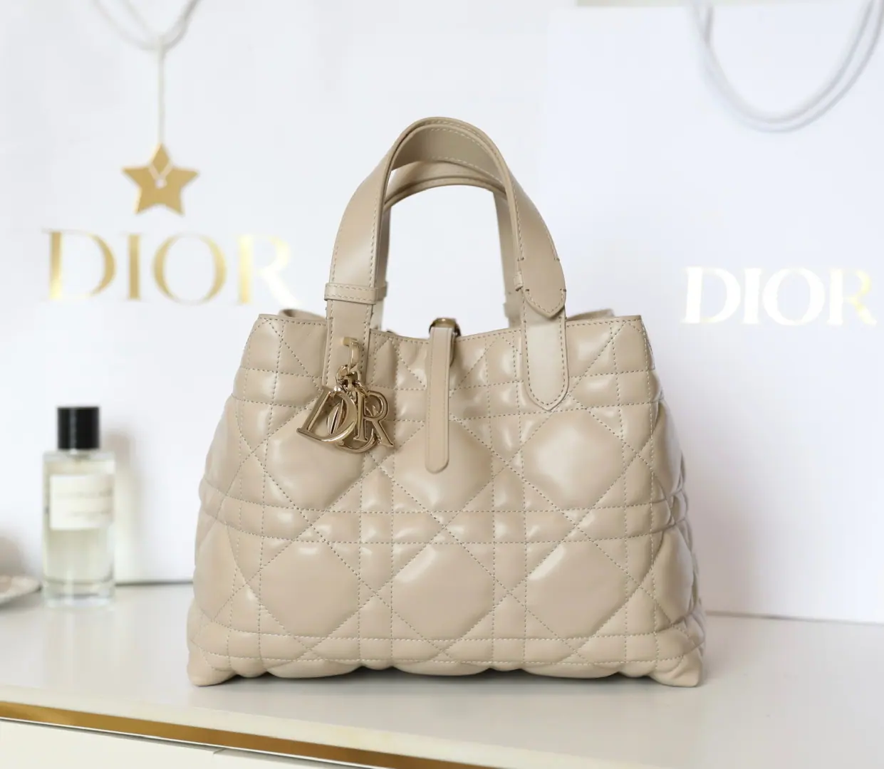 Dior Toujours 中号手袋 28.5 x 21.5 x 19 cm