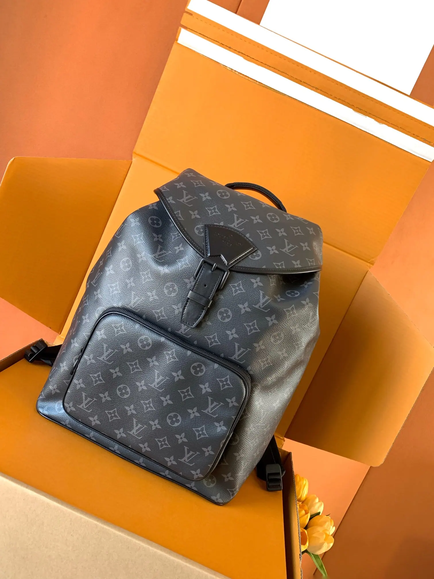 M46683 Montsouris 双肩包 32x40x19cm
