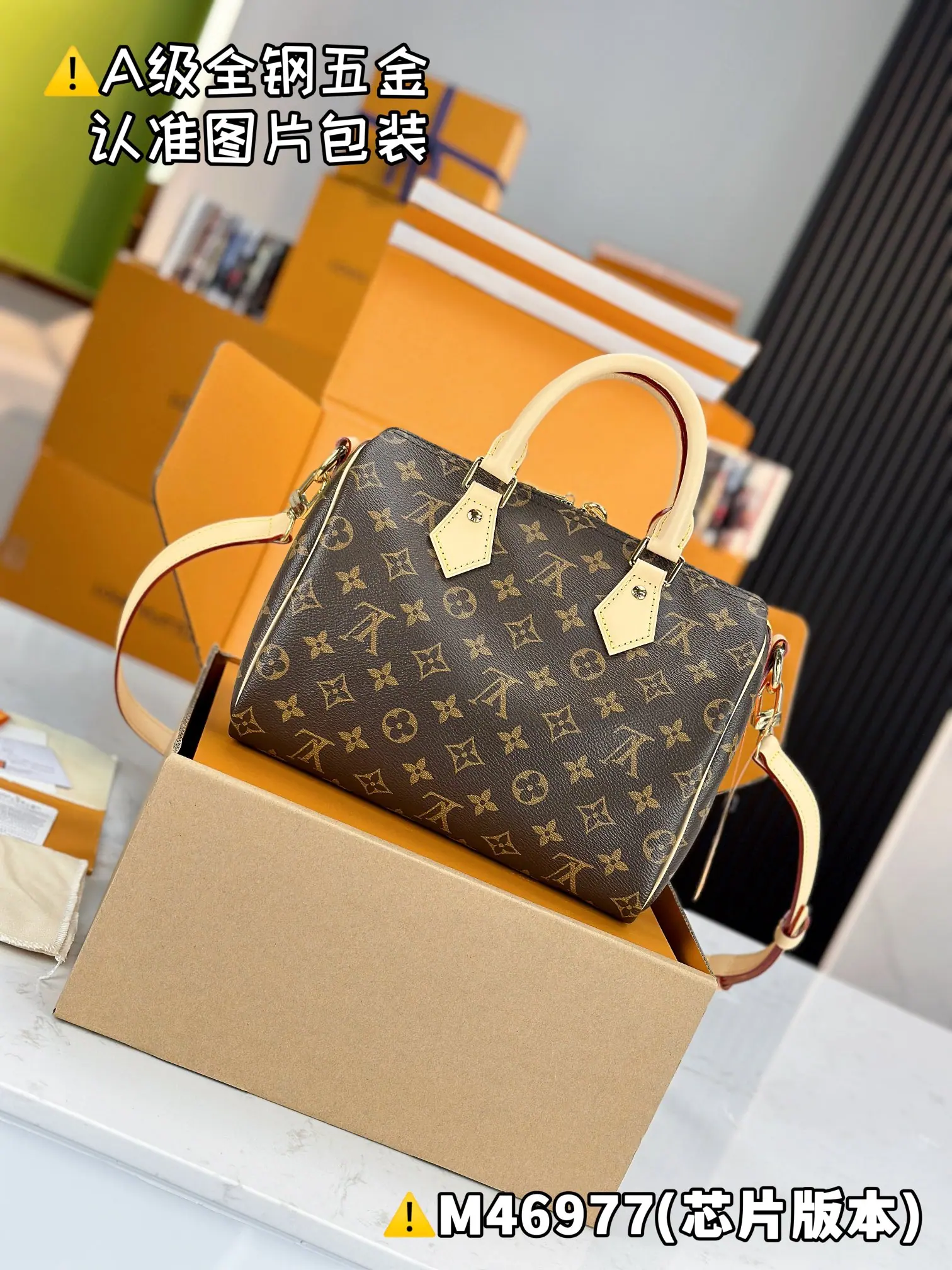 MB 路易威登 Speedy M46977 25x19x15cm