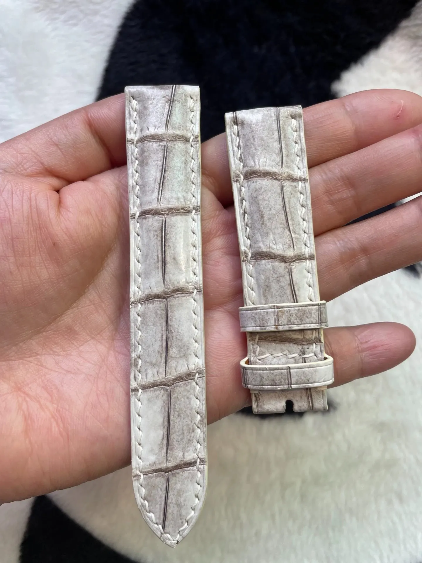 定制 喜马拉雅鳄鱼皮 表带